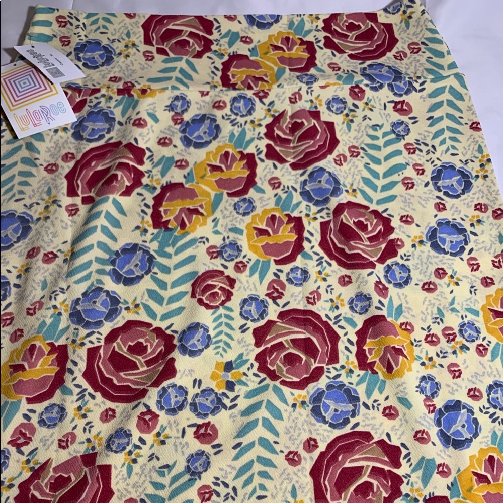 NWT LuLaRoe Cassie skirt